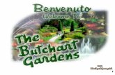 Butchart Gardens Canada