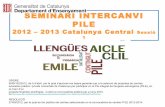 Seminari  PILE CCE 2012-13 sessió 1