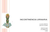 Incontinencia urinaria(smr)