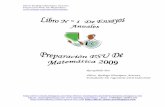 Libro N°1 De Ensayos Anuales De MatemáTica 2009