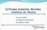 Q Pumps   Bombas Rotativas De Lobulos