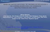 Base de datos nacional de anomalías bouguer y su correlación con los dominios geotectónicos del Perú