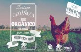 Pollo Organico Bogota - Tortuga Organicos
