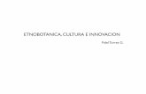 Etnobotánica, cultura e innovación