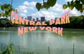 Central park-new-york- m