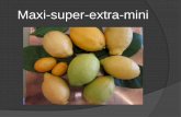 Maxi super-extra-mini