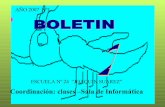 Boletin 2008