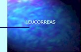 Leti, Leucorreas