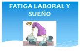 Fatiga Laboral & Sueño