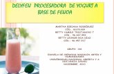 Delyfeij procesadora de_yogurt_a_base_de_feijoa