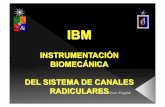 Instrumentación Biomecánica