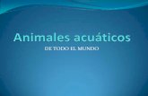 Animales acuaticos