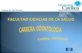 Presentación1. didactica universitarias. anatomia dental