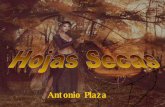 Hojas Secas (Antonio Plaza)