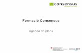 Formació Consensus: Agenda de Plens