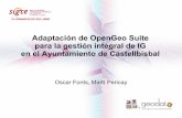 Adaptación OpenGeo Suite Castellbisbal