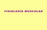 Teorico fisiologa muscular_2009 (Dr Perusso)