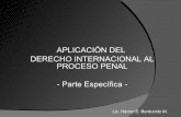 Aplicacion Del Derecho Internacional Al Proceso Penal 1