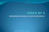 Tarea nº 3 búsqueda de datos en base española