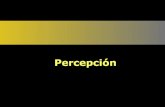 Percepcion teoria-y-leyes-101003123547-phpapp02