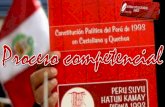 PROCESO COMPETENCIAL EN PERÚ-EDUARDO AYALA TANDAZO DERECHO ULADECH-PIURA