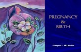 Fecundación, embarazo y lactancia dr. campos