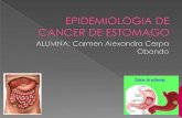 Epidemiologia de cancer de estomago1