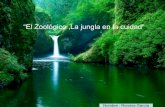 El ZoolóGico ,La Jungla En La
