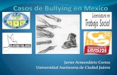 Casos de bullying en mexico, Javier Armendariz Cortez, Universidad Autonoma de Ciudad Juarez