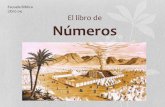 El libro de Numeros - Jeronimo Perles