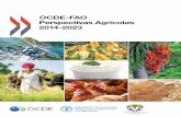 FAO - Perspectivas agricolas 2014 2023