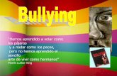 Presentacion de orientacion bullyng
