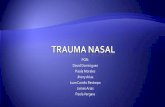 trauma nasal