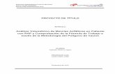 ANÁLISIS  VOLUMÉTRICO DE MEZCLAS ASFÁLTICAS EN CALIENTE CON RAP