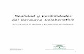 Informe consumo colaborativo andalucia 2014