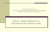Mitos y realidades de la vacuna Influenza  a h1 n1