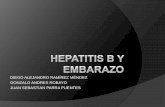 Hepatitis b y embarazo