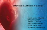 Embriología endocrinológica