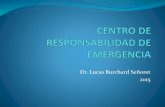 Centro de responsabilidad de emergencia 2015