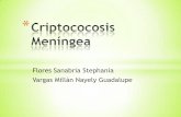 Criptococosis meníngea