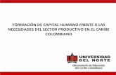 Formación de Capital Humano, frente a las necesidades del sector productivo en el Caribe colombiano