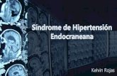 Síndrome de Hipertensión Endocraneana y Tono Muscular
