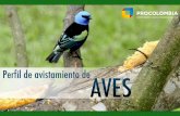 Seminario Web "Colombia, un paraíso para los avistadores de aves"