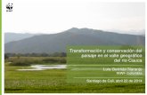 Transformación y conservación del paisaje en el valle geográfico del río Cauca