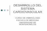 Desarrollo del sistema cardiovascular Pt.2