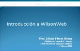 Introduccion A Wilson Web