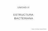Unidad iii (estructura bacteriana)