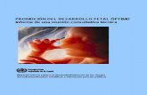 Fetal dev report_es (3)