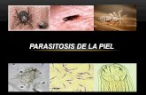 Parasitosis de la piel
