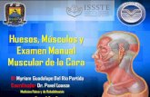 Músculos de cara y examen manual muscular
